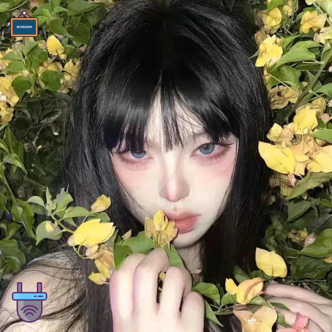 海边的风